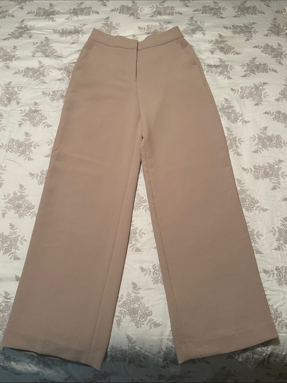Aritzia Wide-Leg High-Waist Pants in Taupe Beige